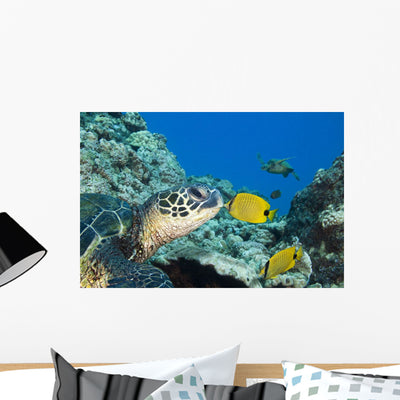 Usa Green Sea Turtle Wall Mural shown on a wall