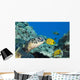 USA, Green Sea Turtle Endangered Species And Butterfly Fish Wall Mural