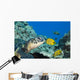 USA, Green Sea Turtle Endangered Species And Butterfly Fish Wall Mural