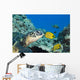 USA, Green Sea Turtle Endangered Species And Butterfly Fish Wall Mural