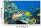 USA, Green Sea Turtle Endangered Species And Butterfly Fish Wall Mural