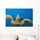 USA, Green Sea Turtle Endangered Species Wall Mural