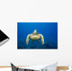 USA, Green Sea Turtle Endangered Species Wall Mural