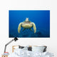 USA, Green Sea Turtle Endangered Species Wall Mural