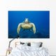 USA, Green Sea Turtle Endangered Species Wall Mural