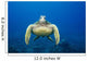 USA, Green Sea Turtle Endangered Species Wall Mural