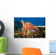 Indonesia, Cuttlefish Wall Mural
