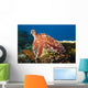 Indonesia, Cuttlefish Wall Mural