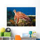 Indonesia, Cuttlefish Wall Mural