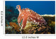 Indonesia, Cuttlefish Wall Mural