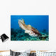 Indonesia, Cuttlefish Wall Mural