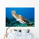 Indonesia, Cuttlefish Wall Mural