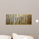 Colorado, Steamboat, Aspen Tree Trunks In Grove, Yellow Autumn Leaves Wall Mural