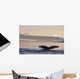 Alaska, Inside Passage, Humpback Whale Tail Fluke In Late Afternoon Wall Mural