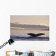 Alaska, Inside Passage, Humpback Whale Tail Fluke In Late Afternoon Wall Mural