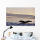 Alaska, Inside Passage, Humpback Whale Tail Fluke In Late Afternoon Wall Mural