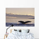 Alaska, Inside Passage, Humpback Whale Tail Fluke In Late Afternoon Wall Mural
