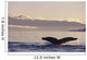 Alaska, Inside Passage, Humpback Whale Tail Fluke In Late Afternoon Wall Mural