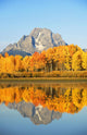 USA, Grand Teton National Park Wall Mural