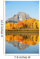 USA, Grand Teton National Park Wall Mural