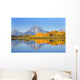 USA, Grand Teton National Park Wall Mural