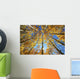 Yellow Aspen Tree Canopy Wall Mural