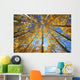 Yellow Aspen Tree Canopy Wall Mural