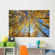 Yellow Aspen Tree Canopy Wall Mural