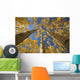 Yellow Aspen Tree Canopy Wall Mural