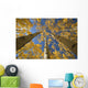 Yellow Aspen Tree Canopy Wall Mural
