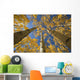 Yellow Aspen Tree Canopy Wall Mural
