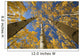 Yellow Aspen Tree Canopy Wall Mural
