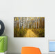 Colorado, Steamboat, Yellow Aspen Leaves On Country Road Wall Mural