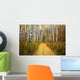 Colorado, Steamboat, Yellow Aspen Leaves On Country Road Wall Mural