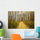 Colorado, Steamboat, Yellow Aspen Leaves On Country Road Wall Mural