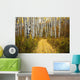 Colorado, Steamboat, Yellow Aspen Leaves On Country Road Wall Mural