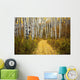 Colorado, Steamboat, Yellow Aspen Leaves On Country Road Wall Mural