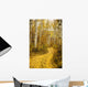 Colorado, Steamboat, Yellow Aspen Leaves On Country Road Wall Mural