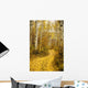 Colorado, Steamboat, Yellow Aspen Leaves On Country Road Wall Mural