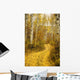Colorado, Steamboat, Yellow Aspen Leaves On Country Road Wall Mural