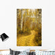 Colorado, Steamboat, Yellow Aspen Leaves On Country Road Wall Mural