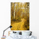 Colorado, Steamboat, Yellow Aspen Leaves On Country Road Wall Mural