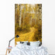 Colorado, Steamboat, Yellow Aspen Leaves On Country Road Wall Mural