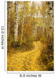 Colorado, Steamboat, Yellow Aspen Leaves On Country Road Wall Mural