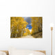 Road Winding Through Fall-Colored Aspens Wall Mural
