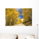 Road Winding Through Fall-Colored Aspens Wall Mural