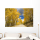 Road Winding Through Fall-Colored Aspens Wall Mural