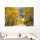 Road Winding Through Fall-Colored Aspens Wall Mural