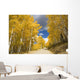 Road Winding Through Fall-Colored Aspens Wall Mural