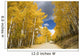 Road Winding Through Fall-Colored Aspens Wall Mural